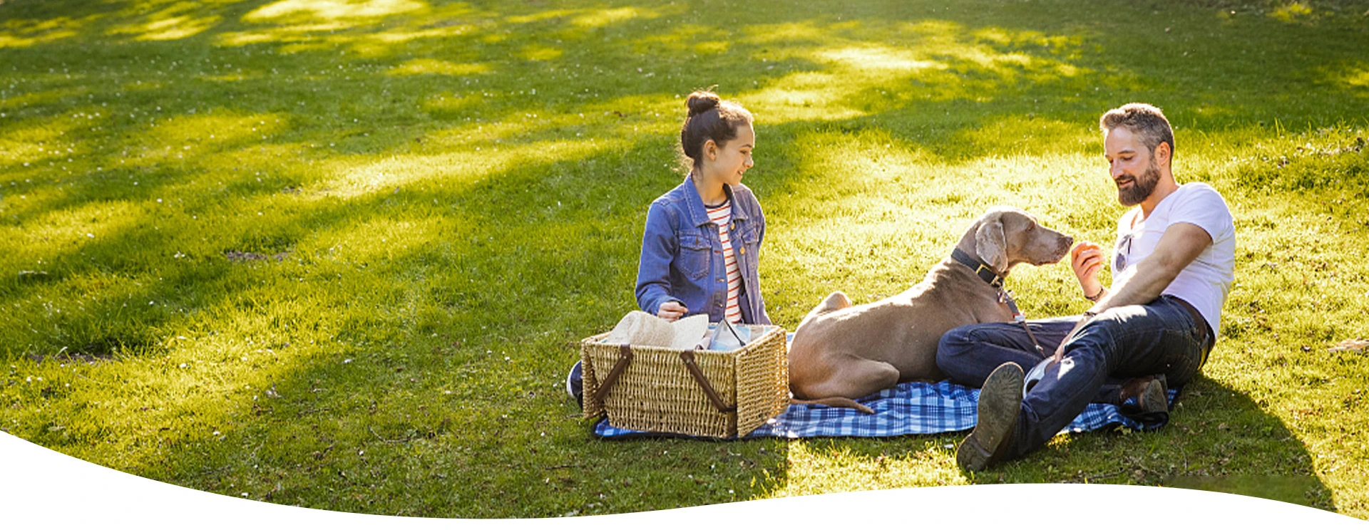 Essential Nutrients for Pet Nutrition